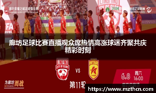 廊坊足球比赛直播观众席热情高涨球迷齐聚共庆精彩时刻